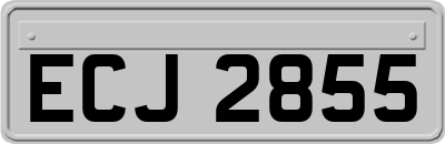 ECJ2855