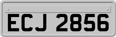 ECJ2856