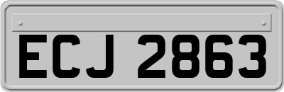 ECJ2863