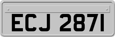 ECJ2871