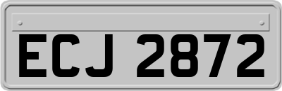 ECJ2872