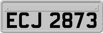 ECJ2873