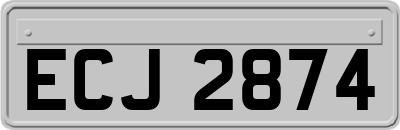 ECJ2874