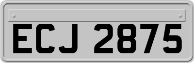 ECJ2875