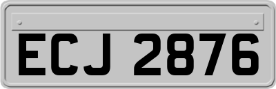 ECJ2876