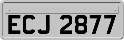 ECJ2877