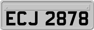ECJ2878