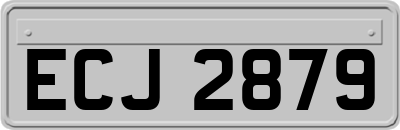 ECJ2879