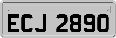 ECJ2890
