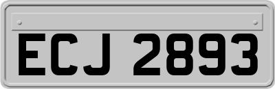 ECJ2893