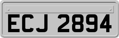 ECJ2894