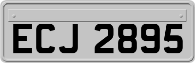 ECJ2895