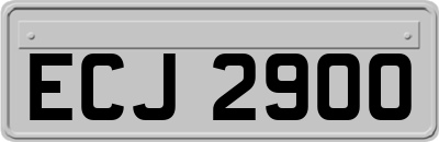 ECJ2900