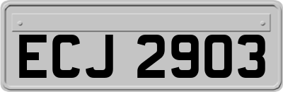 ECJ2903