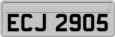 ECJ2905