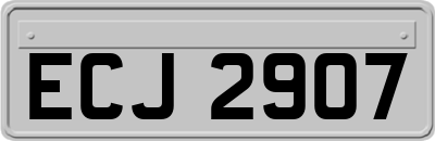 ECJ2907