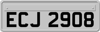 ECJ2908