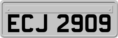 ECJ2909
