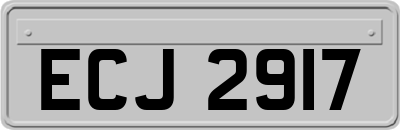 ECJ2917
