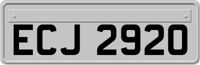ECJ2920
