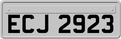 ECJ2923