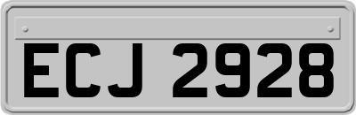 ECJ2928