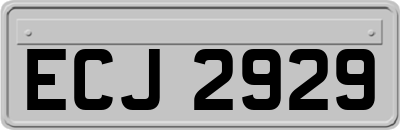 ECJ2929