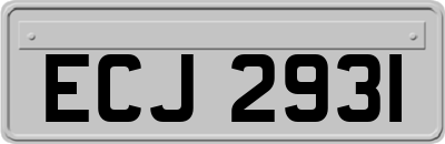 ECJ2931