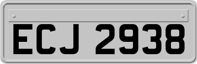 ECJ2938