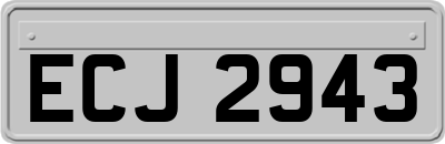 ECJ2943