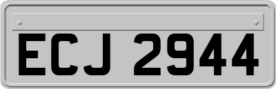 ECJ2944