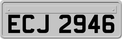ECJ2946