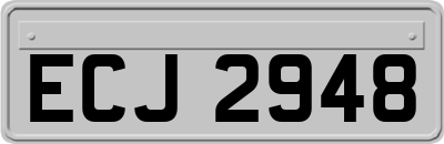 ECJ2948
