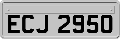 ECJ2950