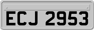 ECJ2953