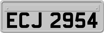 ECJ2954