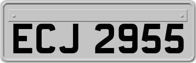 ECJ2955