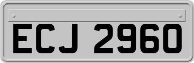 ECJ2960