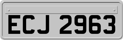 ECJ2963