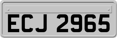 ECJ2965