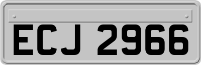 ECJ2966