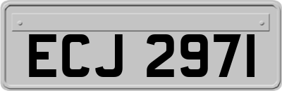 ECJ2971