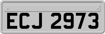 ECJ2973