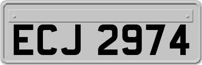 ECJ2974