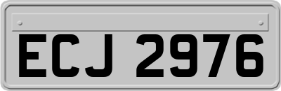 ECJ2976