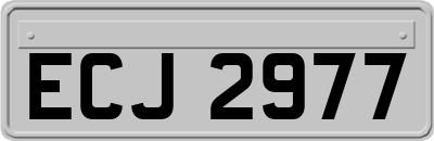 ECJ2977