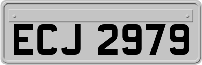 ECJ2979