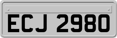 ECJ2980