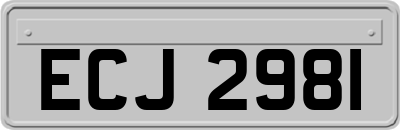ECJ2981
