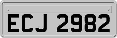 ECJ2982